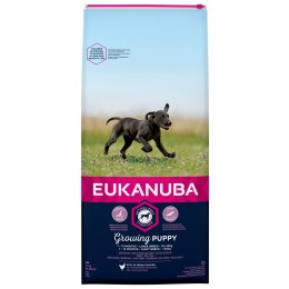 EUKANUBA Growing Puppy Large Breed - sucha karma dla szczeniąt ras dużych - 15 kg
