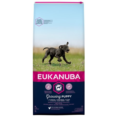 EUKANUBA Growing Puppy Large Breed - sucha karma dla szczeniąt ras dużych - 15 kg