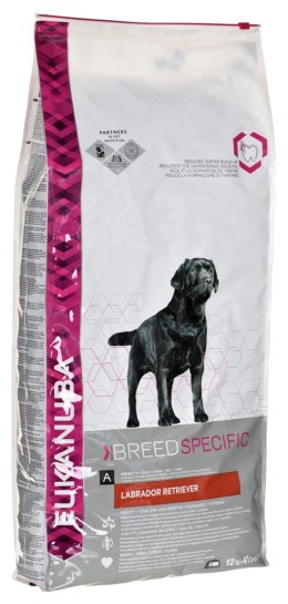 EUKANUBA Adult Labrador Retriever - sucha karma dla psa - 12 kg